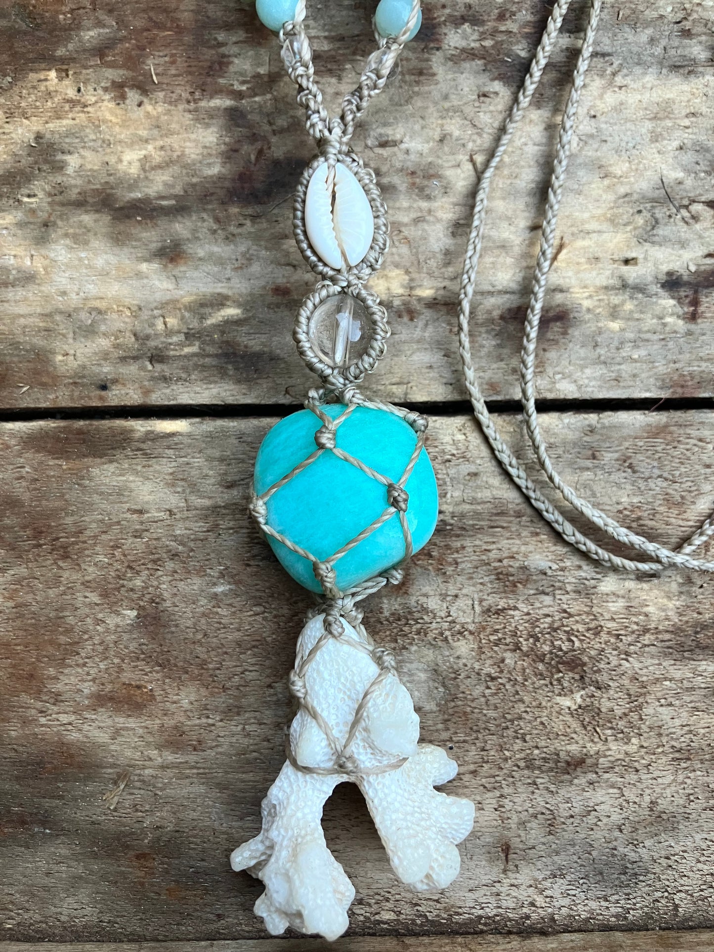 Stories from the reef